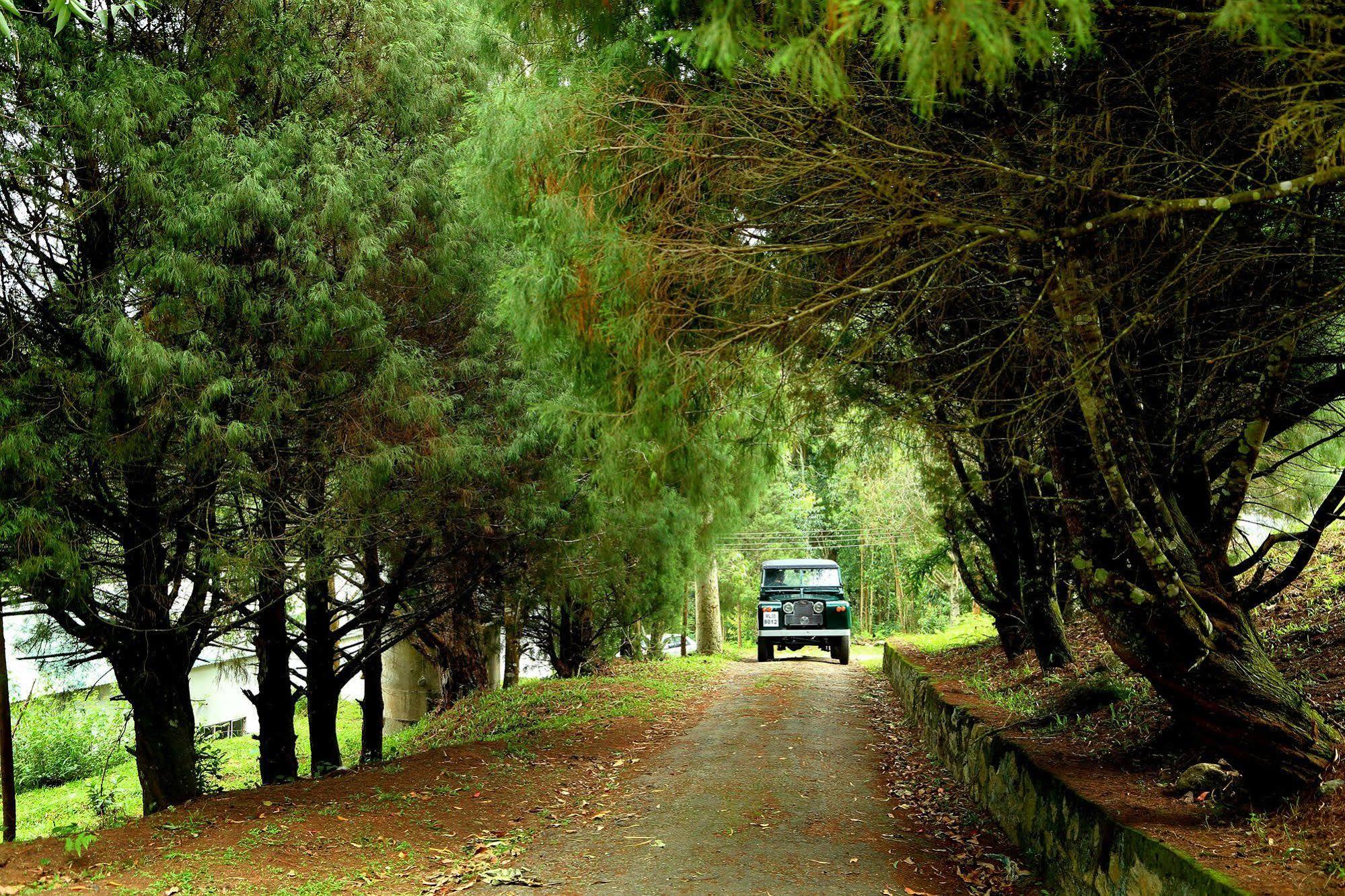Green Jungle Holiday Resort Munnar Exterior foto